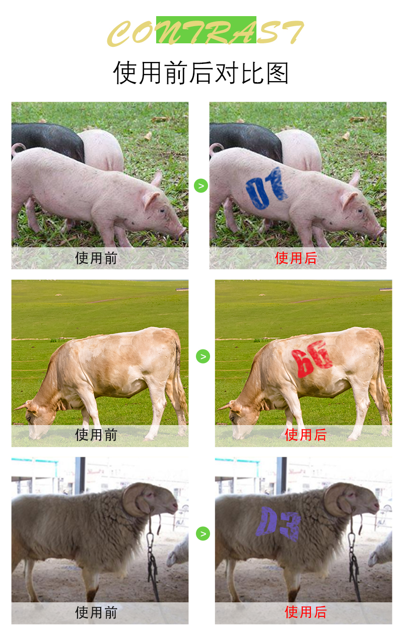 动物标记漆 (9)